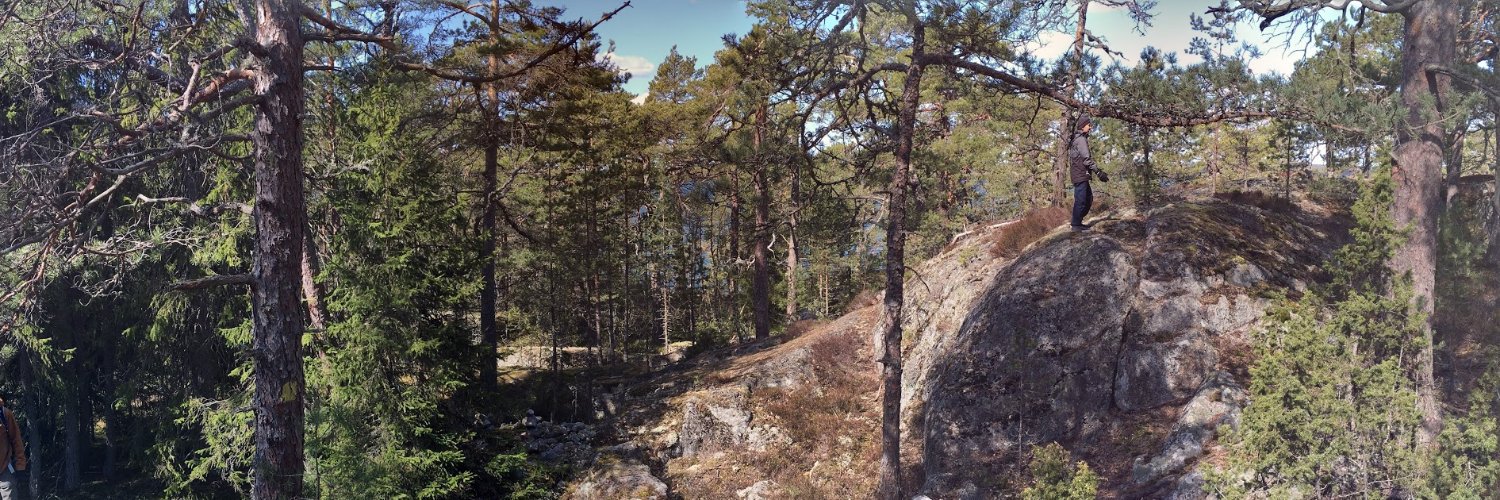 Nelli Hankonen banner