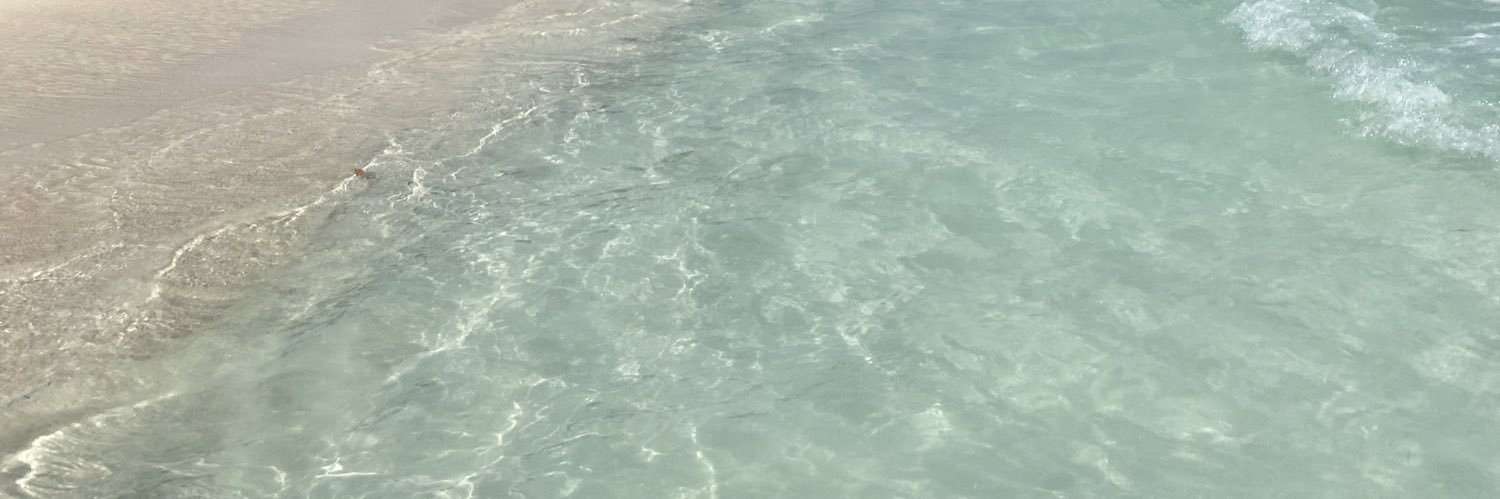 FerFermuoz's profile banner image