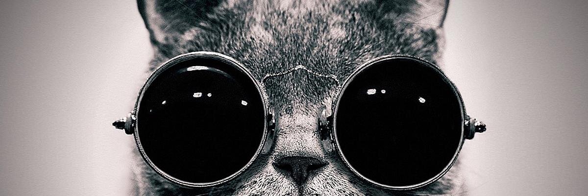 Fayrapp's profile banner image