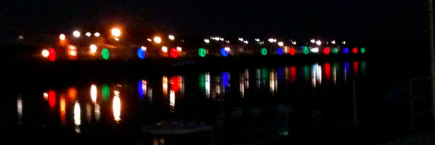 E. de Pétigny banner