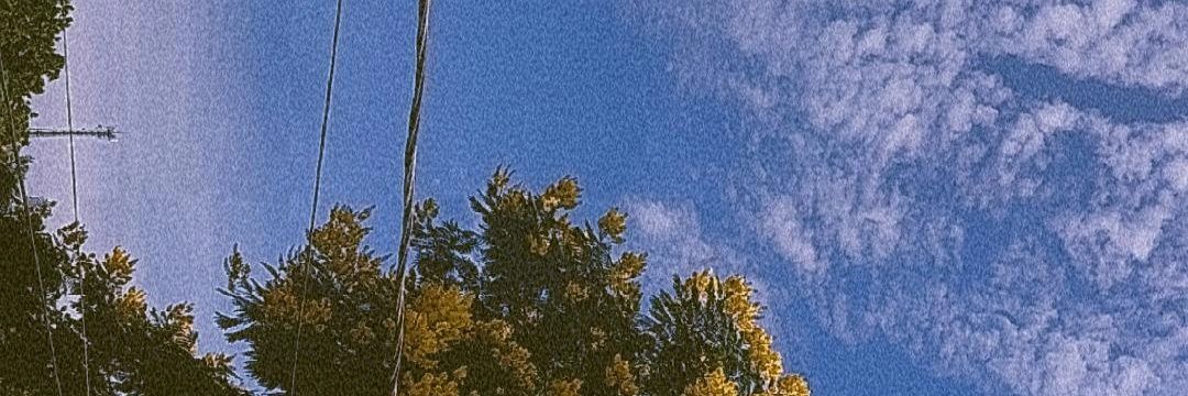 _izabelladrt's profile banner image