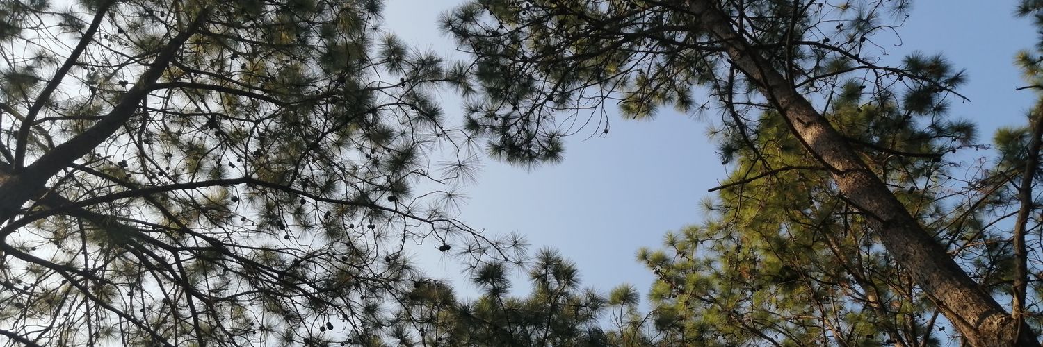 nats25_'s profile banner image