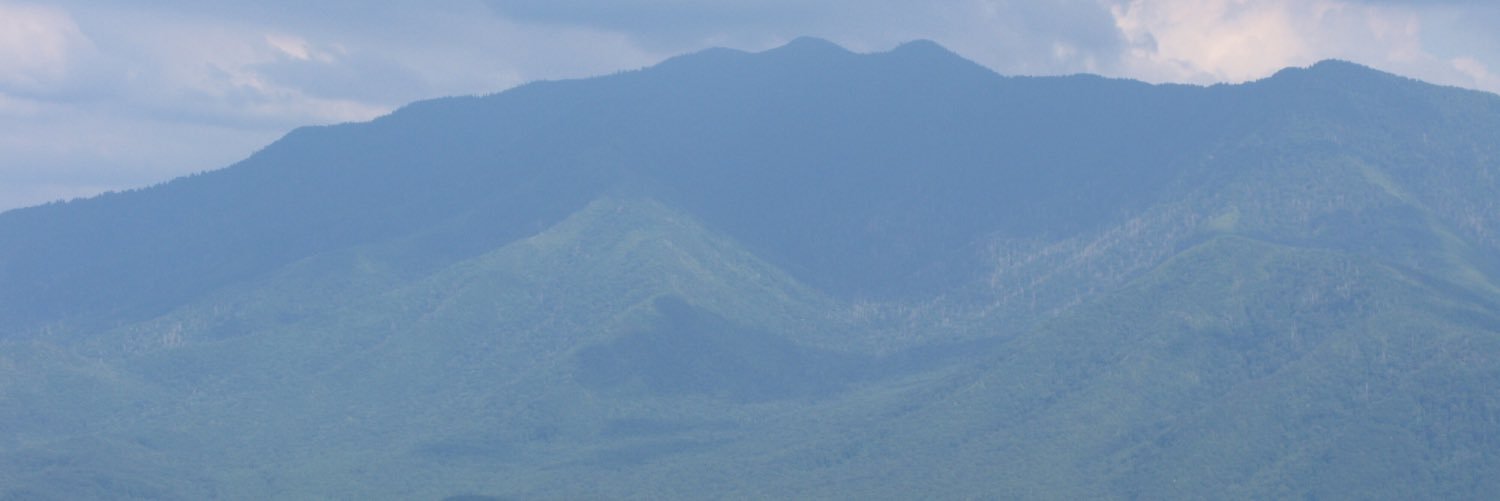 ReneFro's profile banner image