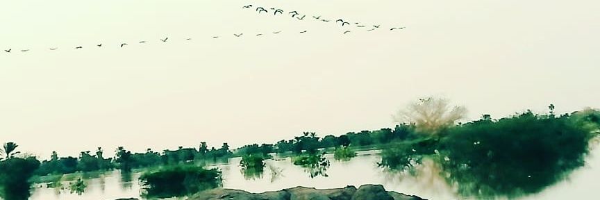 AbdbdeaaOsman's profile banner image