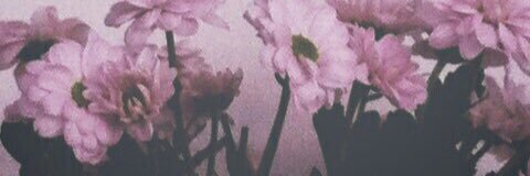 Asia🎀 banner