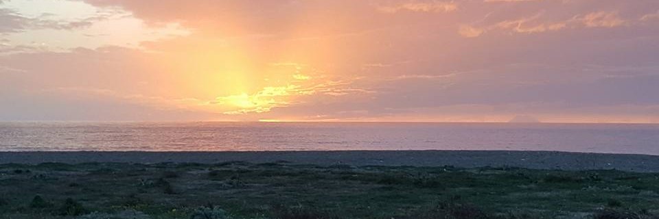 danigra26's profile banner image
