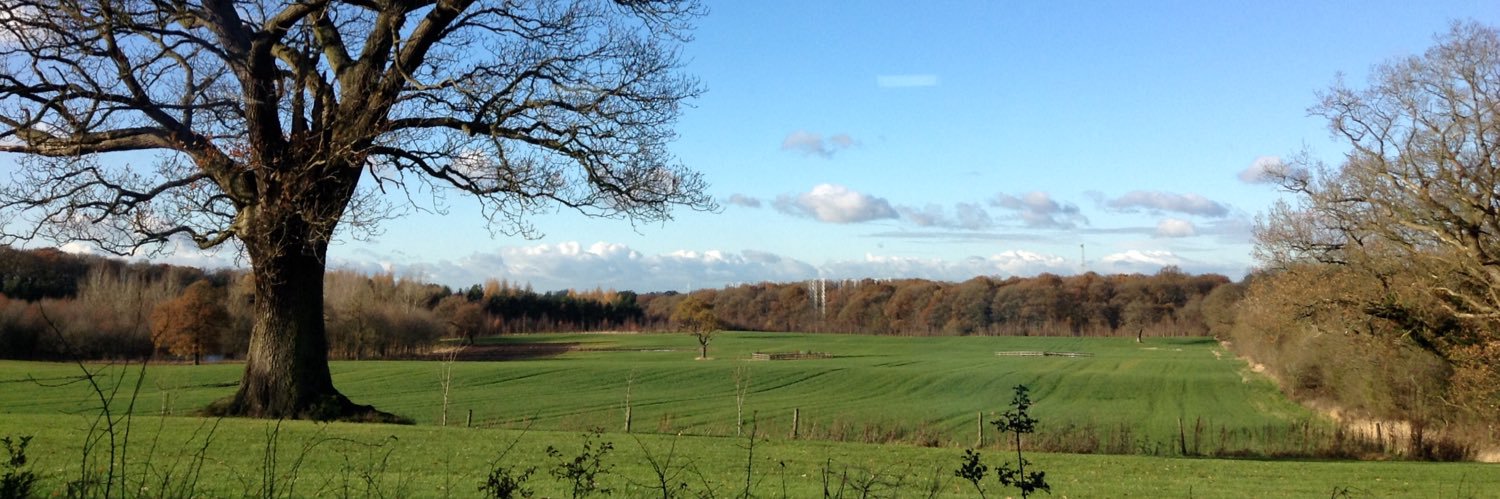 Laura Beveridge banner