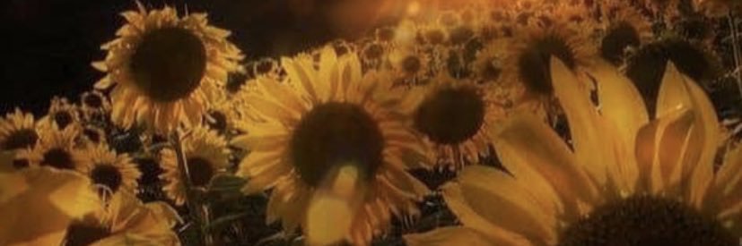TatiAmour's profile banner image