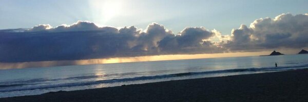 mairepwalsh Profile Banner