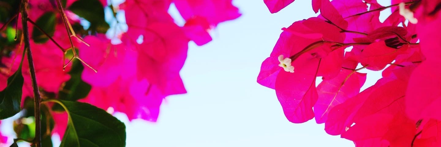 EmelineEraud's profile banner image
