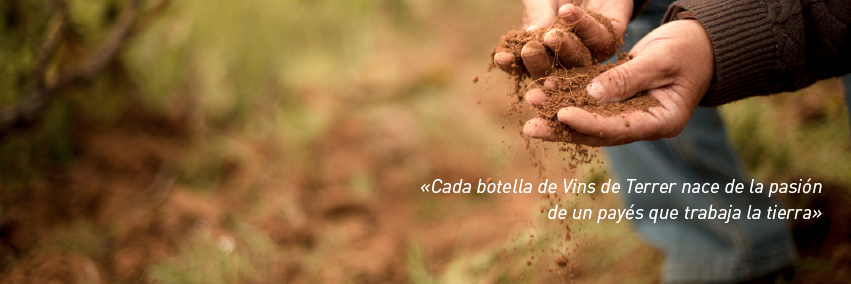 lavidaalcamp's profile banner image