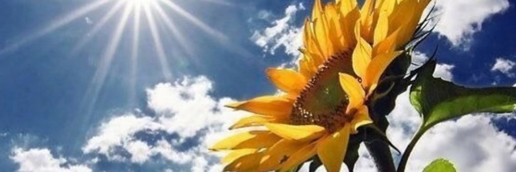 keyshamtaylor's profile banner image