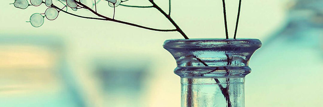persian___boy's profile banner image