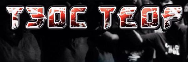 TEOS_TEOR's profile banner image