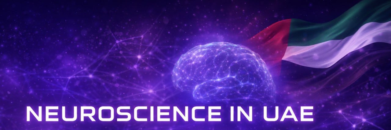 neurointern's profile banner image