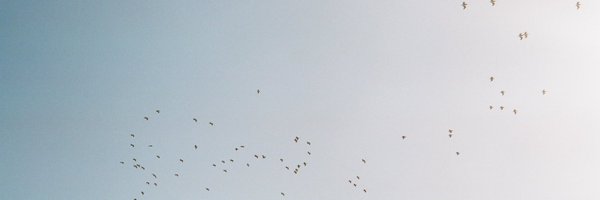 zandashe Profile Banner