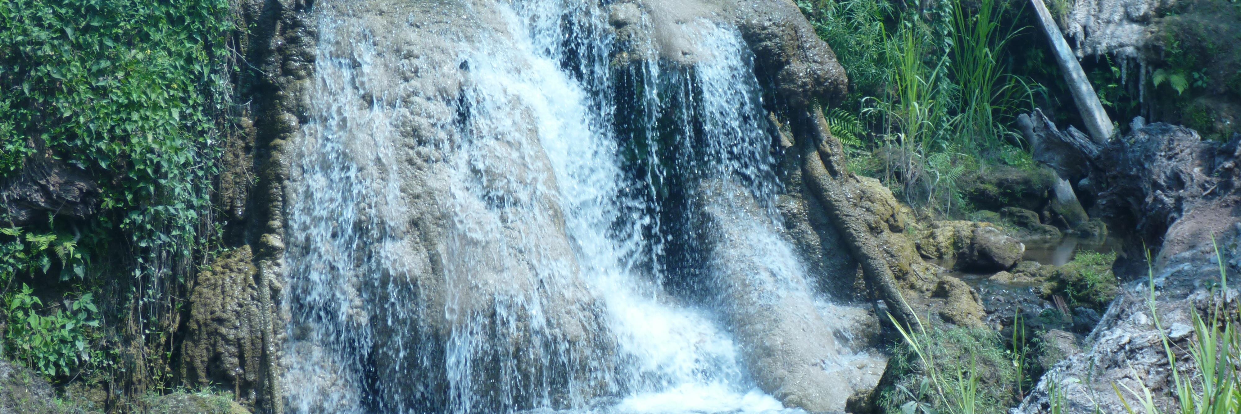 Roy Higginbottom banner