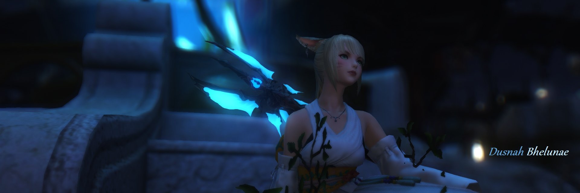 Dusnah's profile banner image