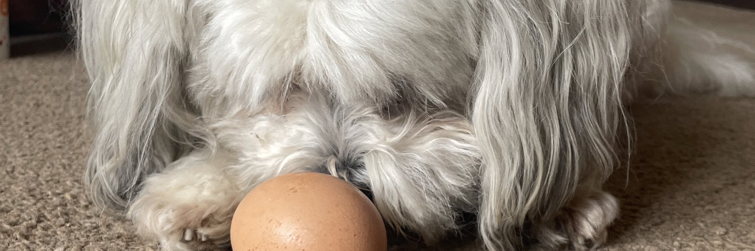 BreeProbert's profile banner image