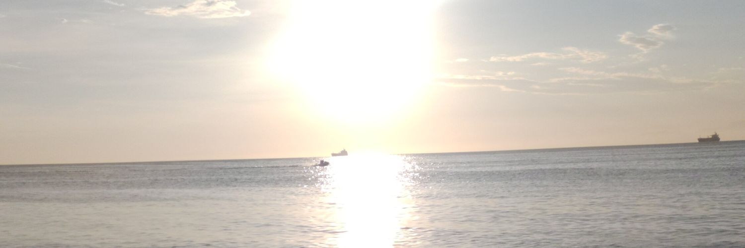 luzzzul's profile banner image