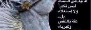 abf_2015's profile banner image
