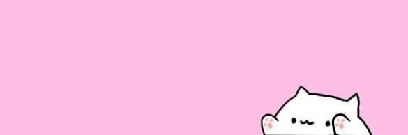 Sophie Fans banner