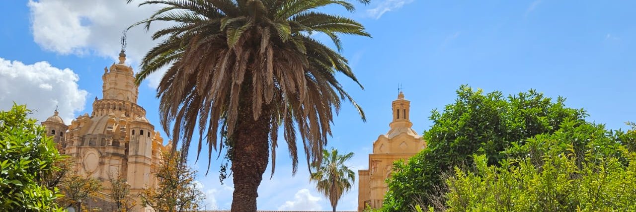MuseoTejeda's profile banner image