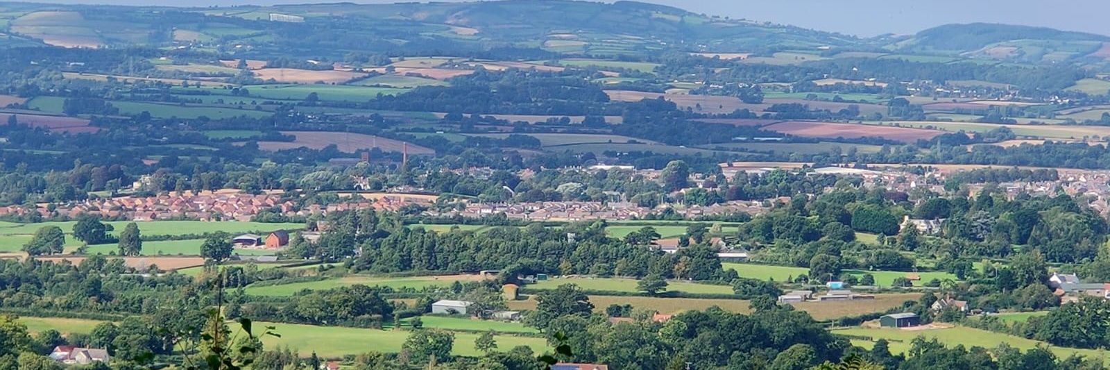 Shelagh Connolly banner