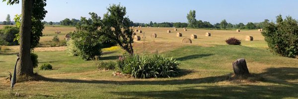 MsBennettTweets Profile Banner