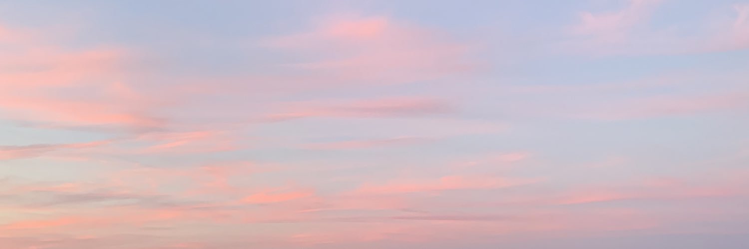 Carla Bleiker banner