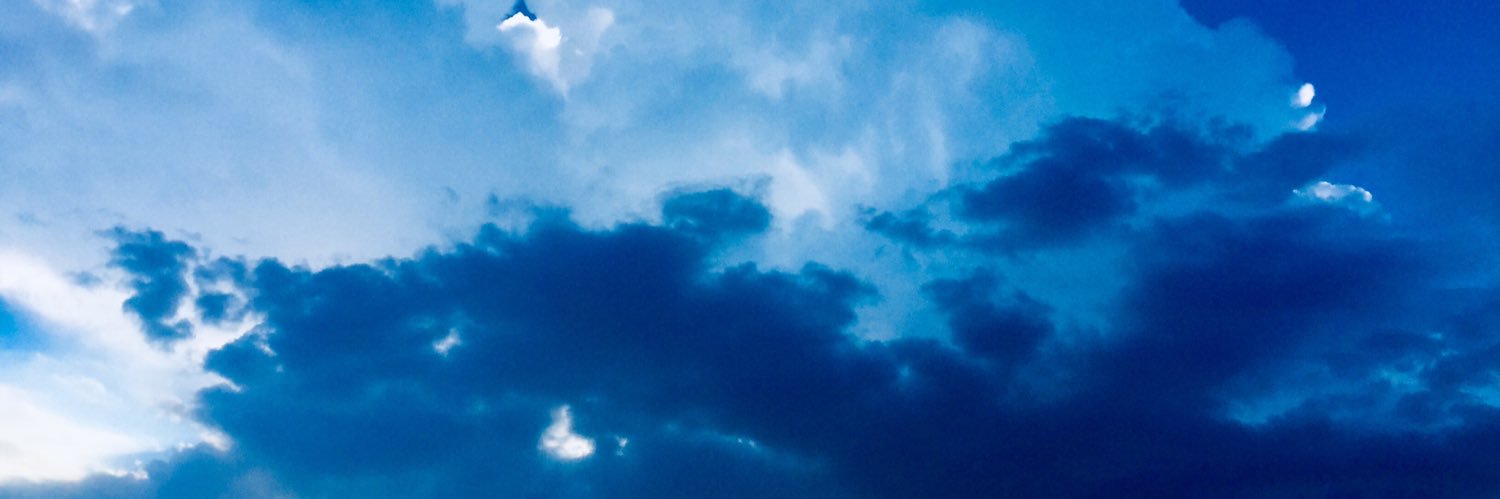 Chiara Bassani banner