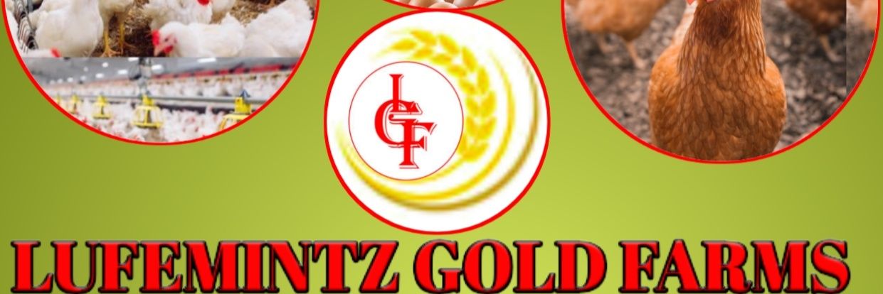 olufemite's profile banner image