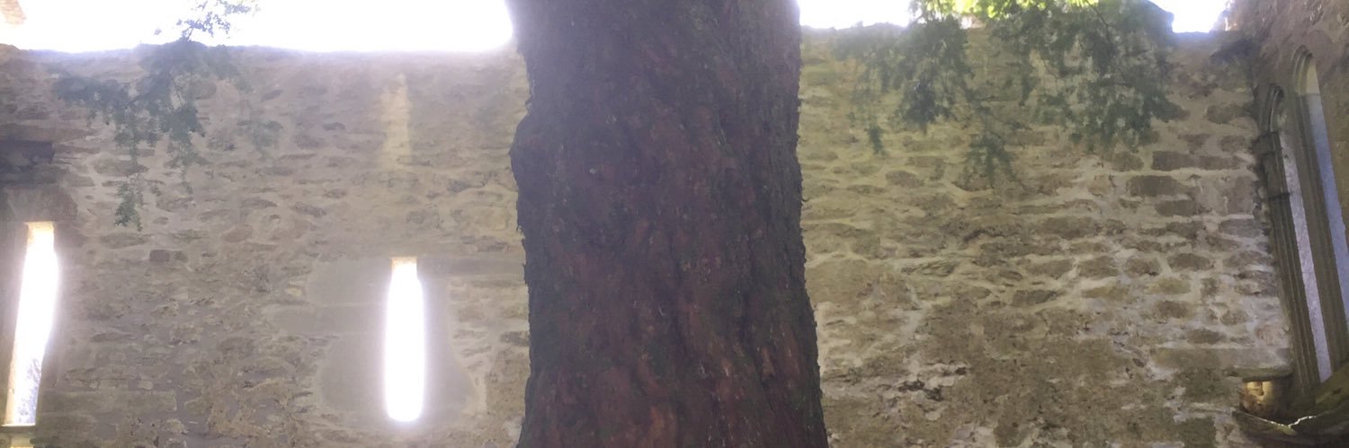 Jonathan T. Rothwell banner