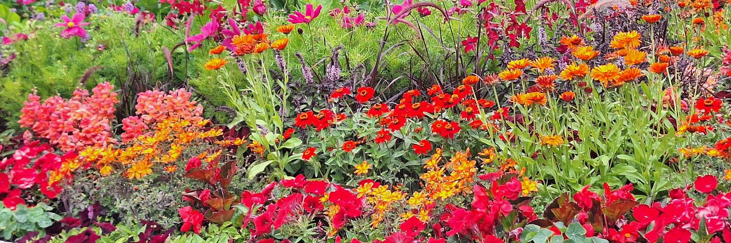 Kate White 🇬🇧🇪🇺🔶️🌎 banner