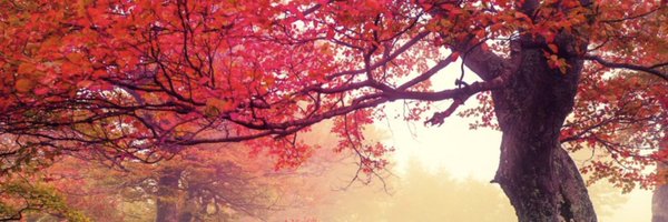 DrMacLeod Profile Banner