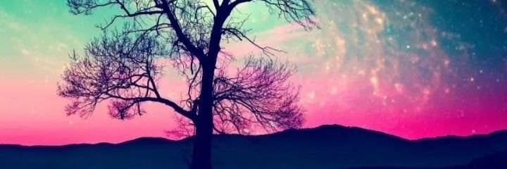 nuris66's profile banner image