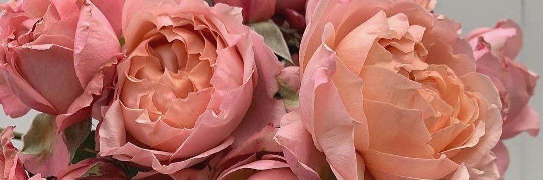 muhamedassy1's profile banner image