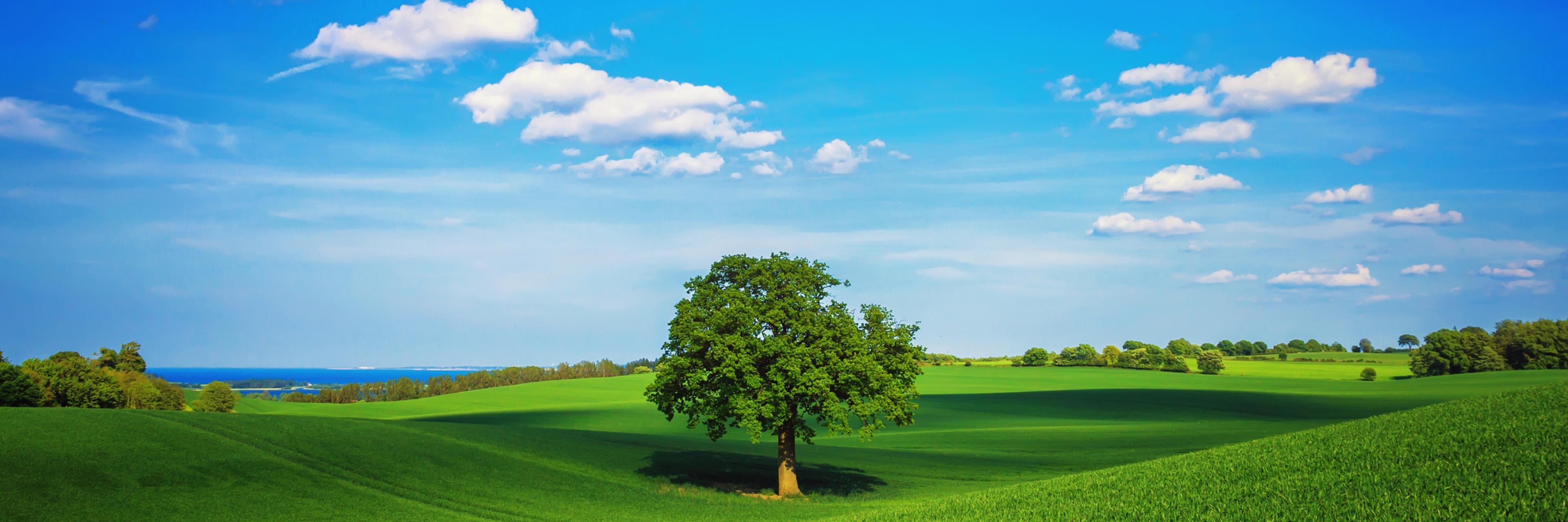 Famous Quotes banner