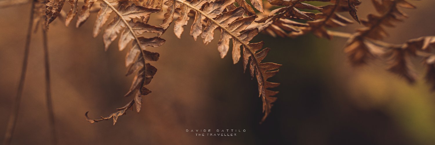 davide_dattilo's profile banner image