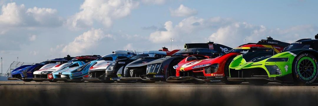 Stefania Bruera banner