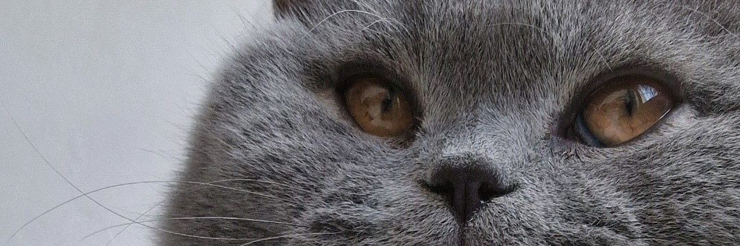 Natalieikh's profile banner image