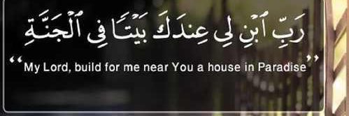 naema_amer's profile banner image