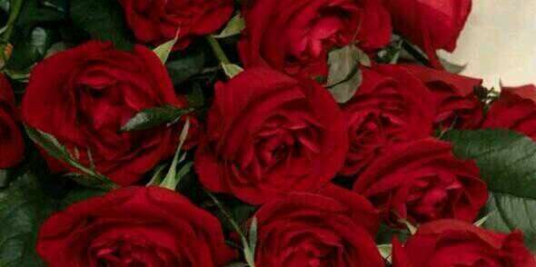 1990_momy's profile banner image