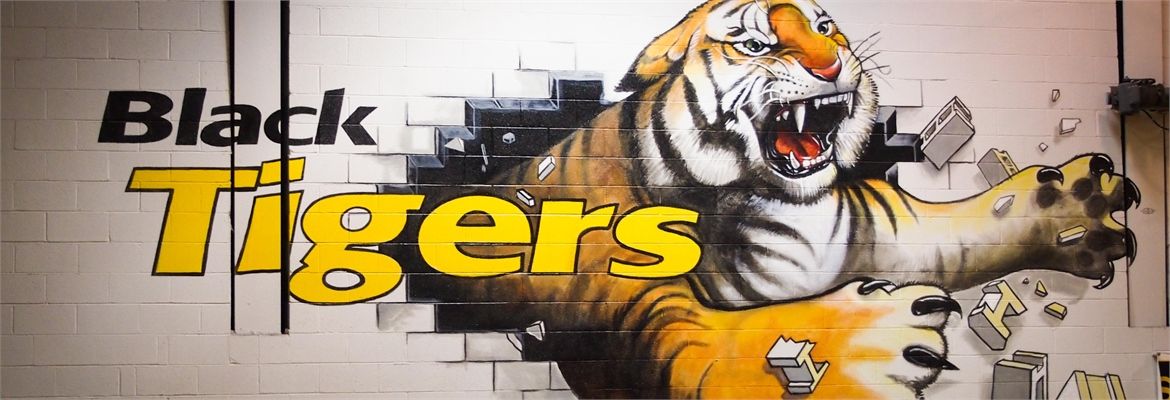 mrscuev's profile banner image