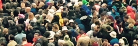 marie griffiths banner