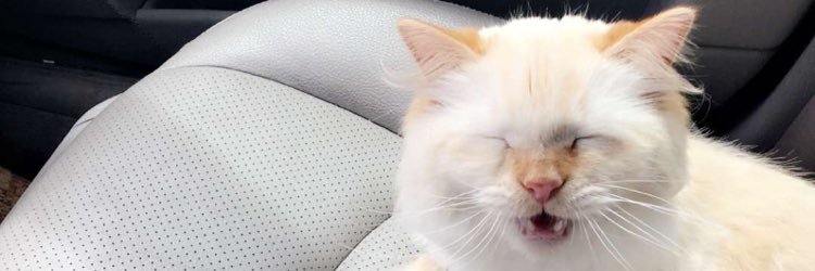 AttaZac11's profile banner image