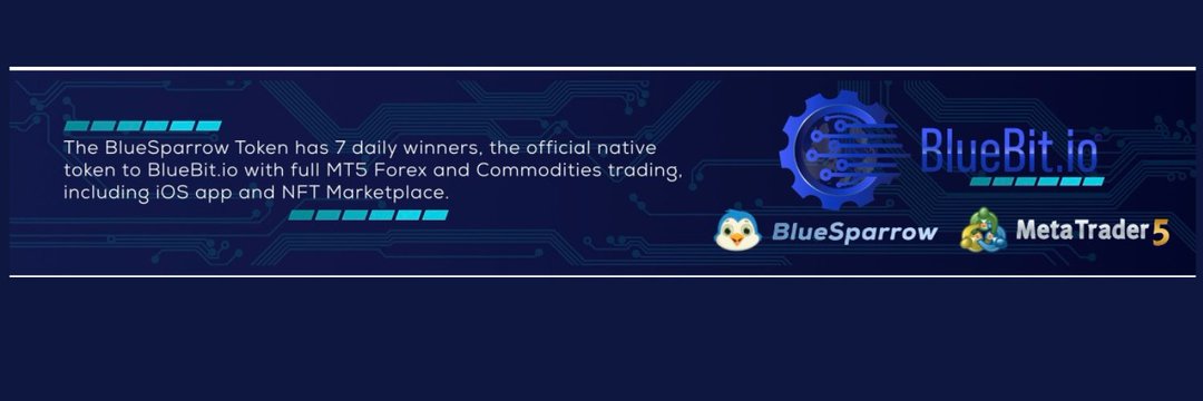 BlueSparrow Whale banner