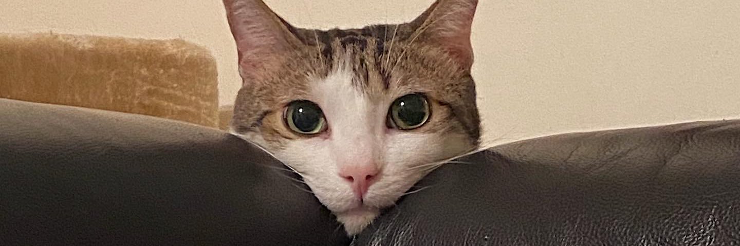 rsof25's profile banner image