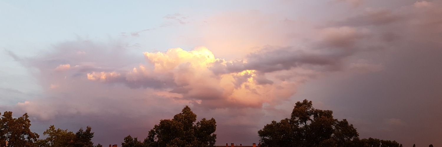 EnzyTee's profile banner image