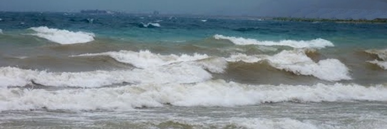InlandOceanWPG's profile banner image